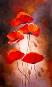 Красные маки
