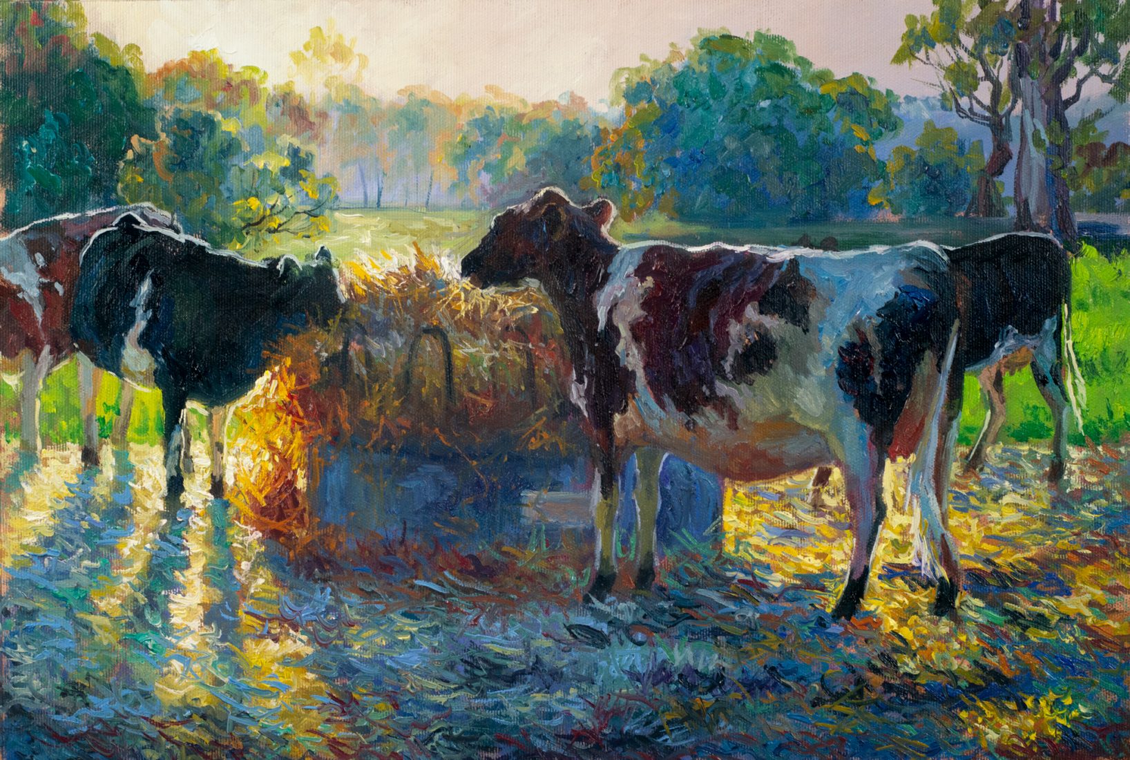 Коровки