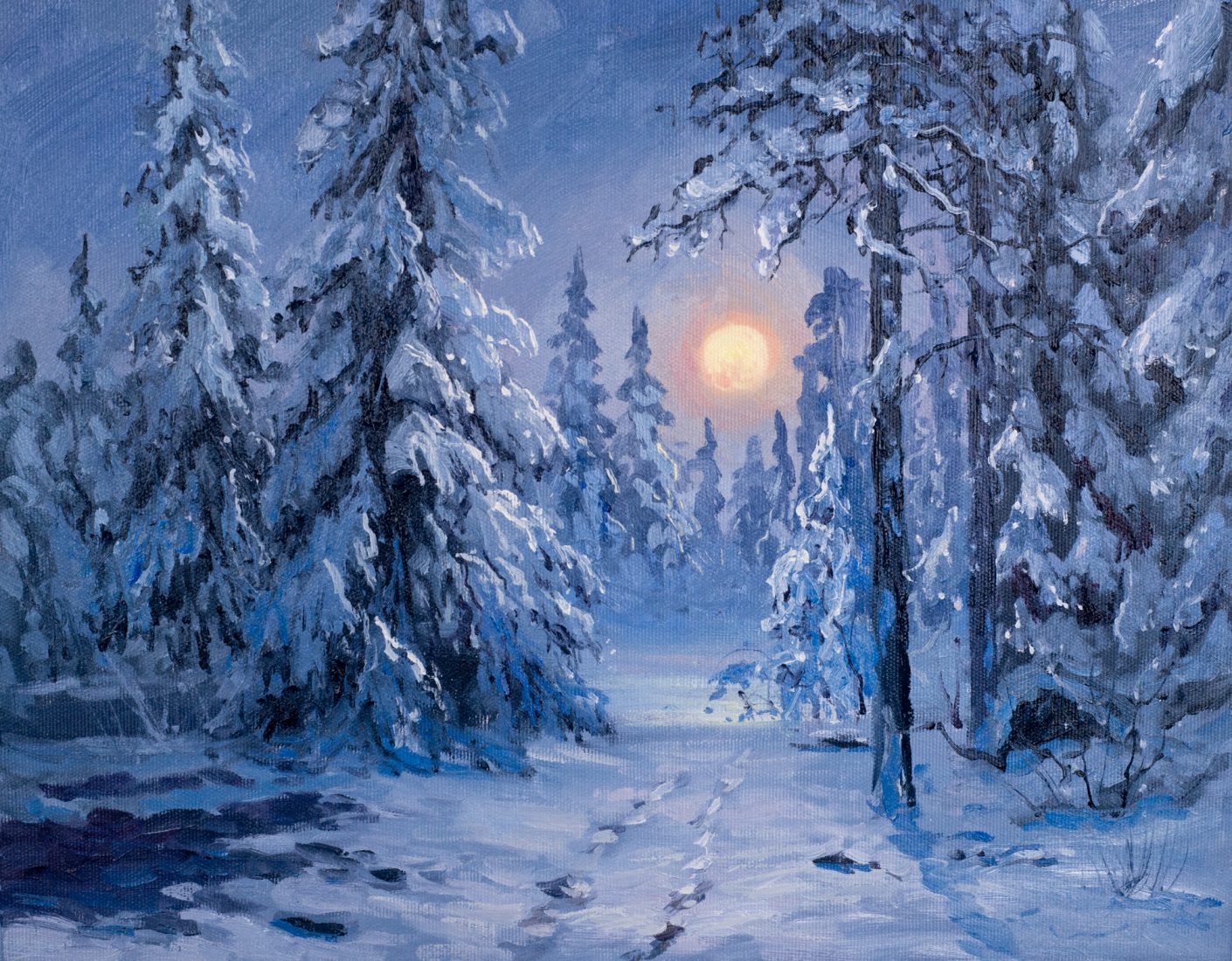 Зимний лес в лунном свете